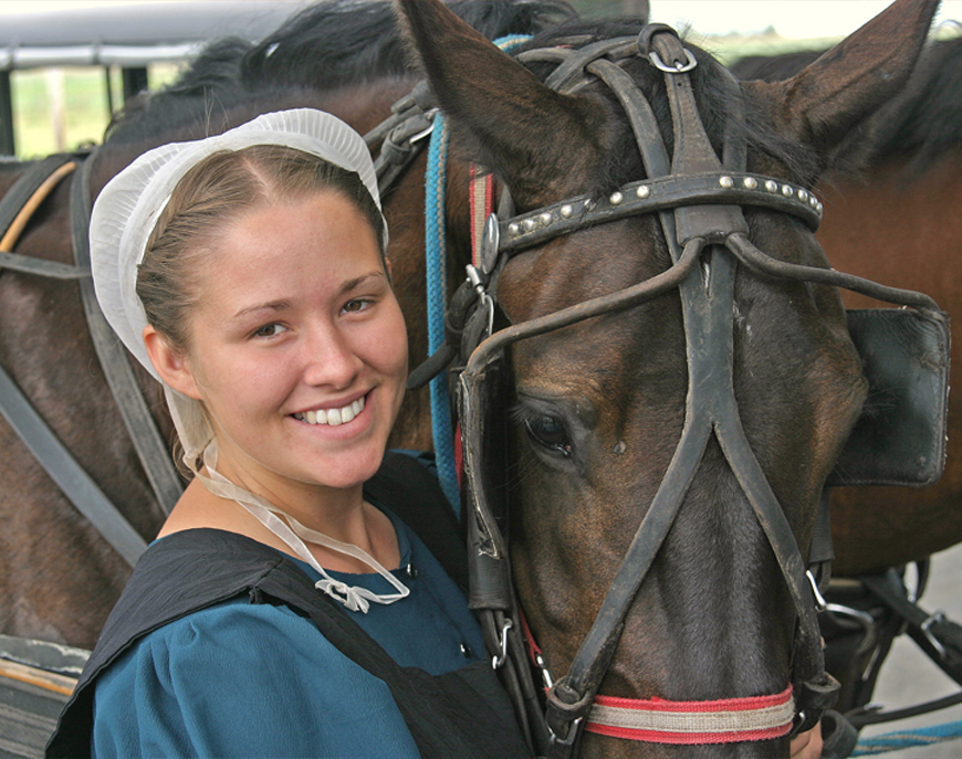 amish horse and buggy rides